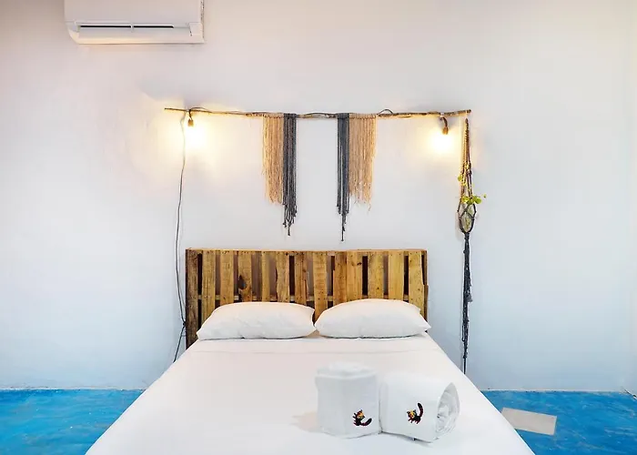 Red Panda Hostal Playa del Carmen