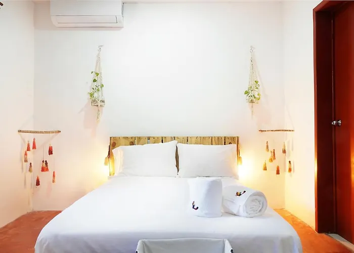 Red Panda Hostal Playa del Carmen