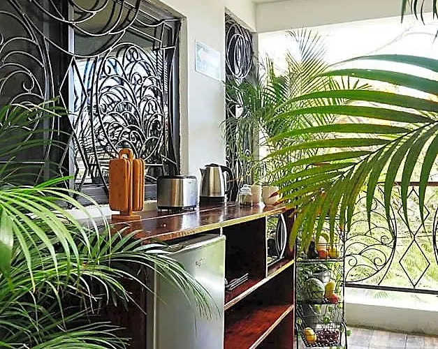Hostal Red Panda Playa del Carmen
